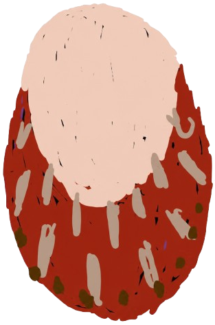 Buried_In_Lyme_Tick_Logo_trans-removebg-preview